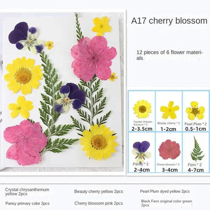 LAST DAY 85% OFF🔥Transparent Dried Flower Bookmarks